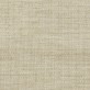 259206